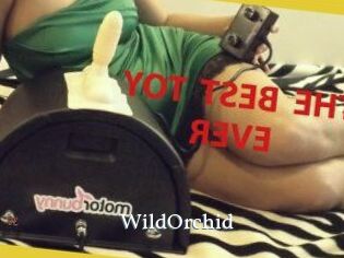 WildOrchid_