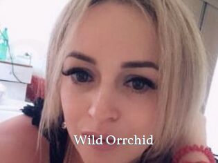 Wild_Orrchid