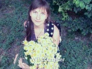 Wildcumster