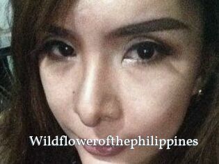 Wildflowerofthephilippines