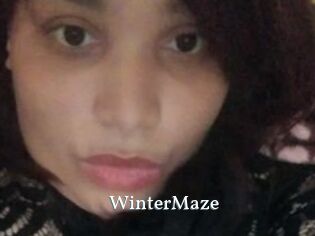 Winter_Maze