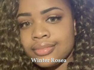 Winter_Rosea