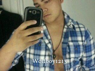 Wolfboy1213