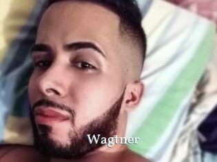 Wagtner