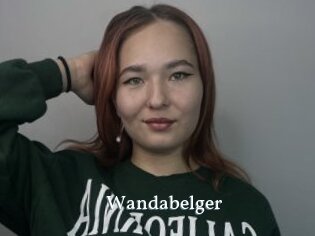Wandabelger