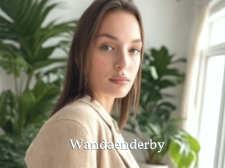 Wandaenderby