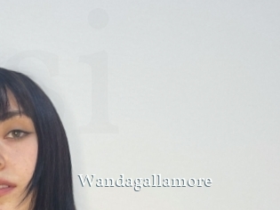 Wandagallamore