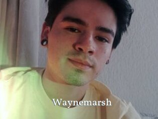 Waynemarsh