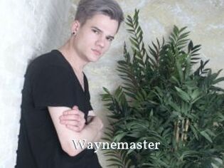 Waynemaster
