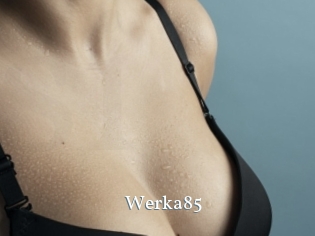 Werka85