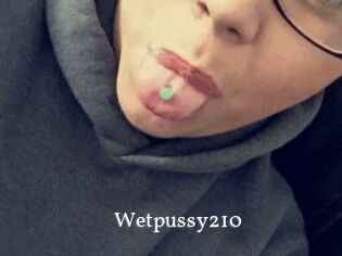 Wetpussy210