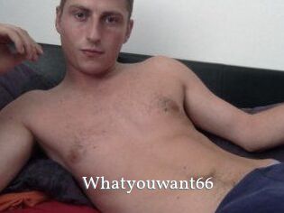 Whatyouwant66