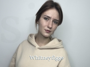 Whitneyfigge
