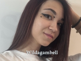 Wildagambell