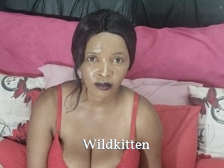 Wildkitten