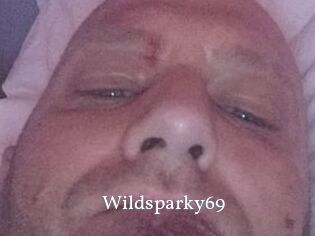 wildsparky69 SexyIdol