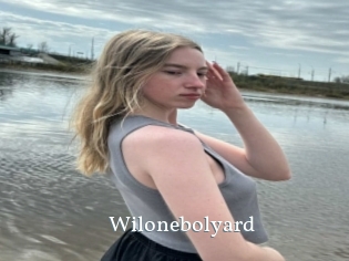 Wilonebolyard