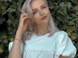 Wintercherrys