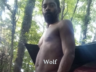 wolf SexyIdol