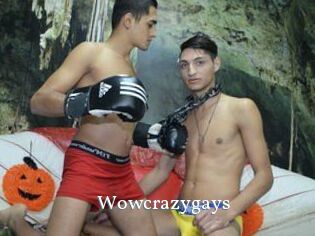 Wowcrazygays