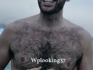 Wplooking37