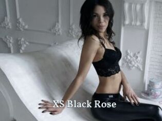 XS_Black_Rose