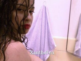 Xanthe_Fox