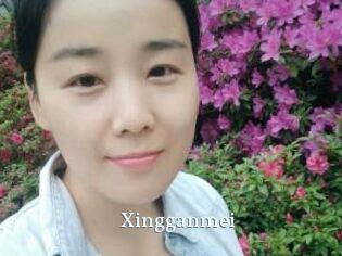 Xingganmei