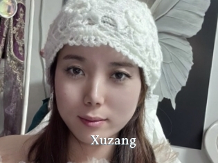 xuzang SexyIdol