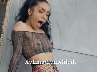 Xyliniadivinelilbih