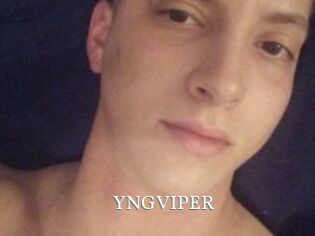 YNGVIPER