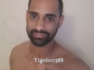 Yigolo0388