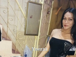 Ynez22