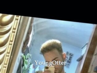 YoungOtter