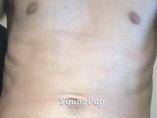 YoungPup