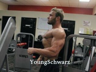 YoungSchwarz