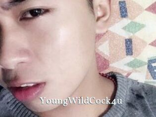 YoungWildCock4u SexyIdol