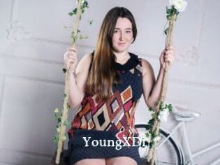 YoungXDi