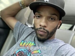 YourMrBull