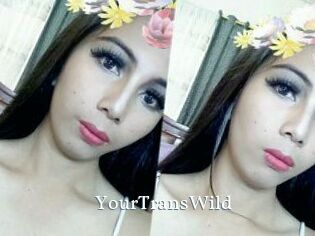 YourTransWild