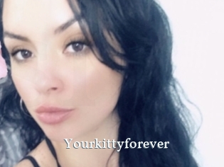 Yourkittyforever