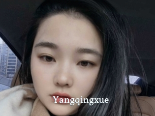 Yangqingxue
