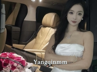 Yangqinmm