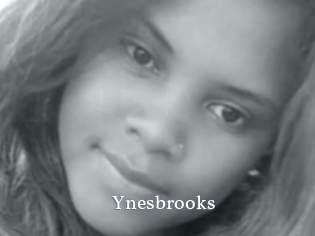 Ynesbrooks