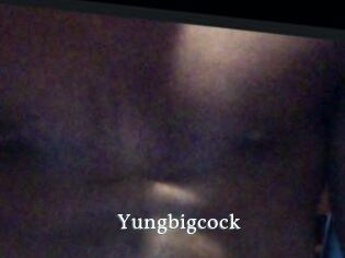 Yungbigcock