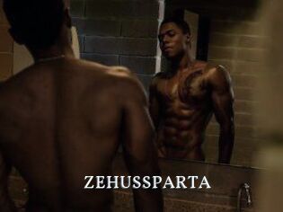 ZEHUS_SPARTA