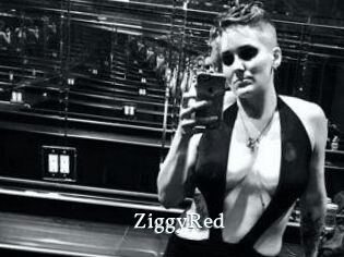 ZiggyRed
