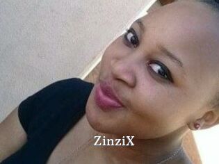 ZinziX