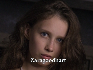 Zaragoodhart
