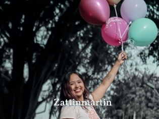 Zattinmartin
